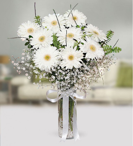Vazoda Gerbera 3
